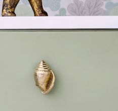 Golden Brass Conch Shell Drawer Knob