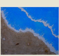 Coastal Calm Canvas Painting by Artist Rutuja Pawar 16 x 20 Inch