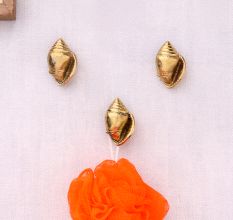Golden Brass Conch Shell Wall Hooks -3 Pieces