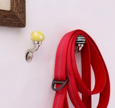Multicolor Ceramic Metal Wall Hooks With Silver Finish-Pack of 6