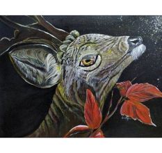 Deer Sparkle of Hope Canvas Painting by Artist Snehaprava Maharana