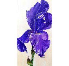 Iris Flower Canvas Painting by Artist Snehaprava Maharana