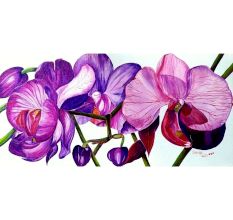 Orchid Flowers Canvas Painting by Artist Snehaprava Maharana