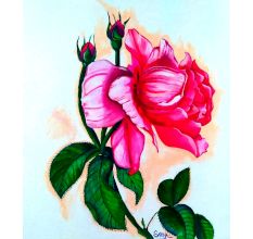 Rose Flower Canvas Painting by Artist Snehaprava Maharana