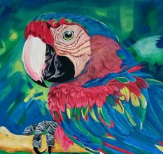Macaw Bird Canvas Painting by Artist Snehaprava Maharana