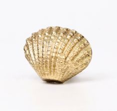 Golden Solid Brass Shell Drawer Knob