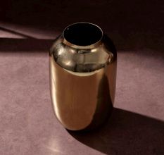 Luxe Gold-Plated Iron Vase
