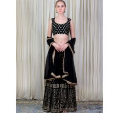 Black blouse with Sharara Set