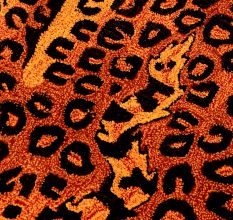 Rug Hand Tufted Woolen Luxurious Leopard Rug For Kids Room