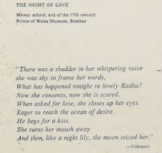 The Night of Love Radha and Krishna Mewar School Framed Paper Print with Poem by Vidyapati