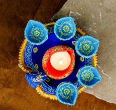 Handmade Washable Terracotta Peacock Diya for Festive Home Decor