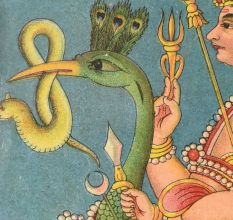 Paper Print on Hardboard of Lord Kartikeya on Peacock