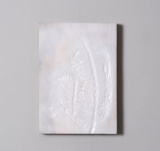 Nature Inspired Wall Plate Set of 8