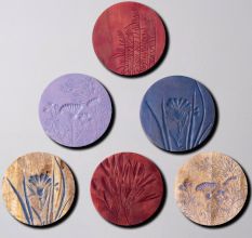 Paradise Bloom Wall Plate Set of 6