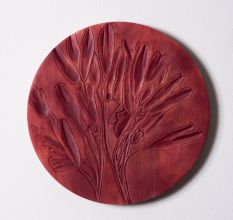 Paradise Bloom Wall Plate Set of 6