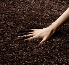 Modern Brown Shaggy Hall Carpet
