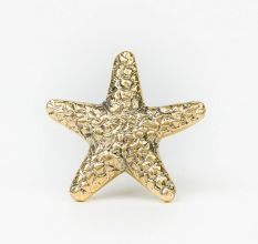 Handcrafted Golden Brass Starfish Cabinet Pull Knob