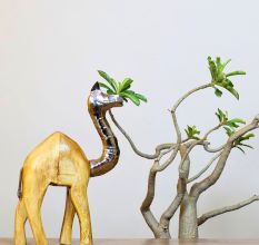 Handcrafted Mango Wood Boho Camel Figurine