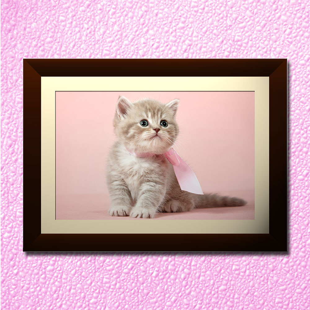 Lovely Cat Wall Painting