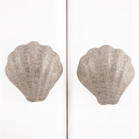 Cream Sea Shell Cabinet Knob