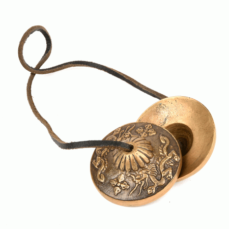 Manjeera Pair Handmade Musical Instrument