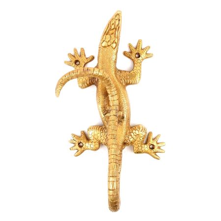 Brass Handle of Lizard Brass Door Pull