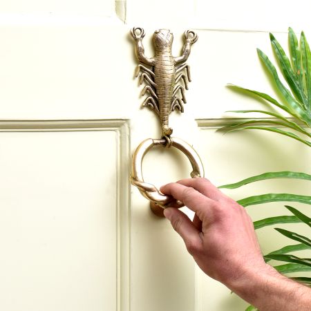 Scorpion Design Vintage Style  Brass Door Knocker