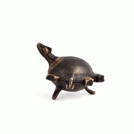 Brass Patina Rich Engraved Turtle Storage Box