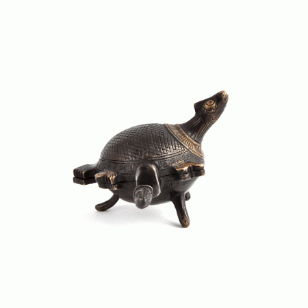 Brass Patina Rich Engraved Turtle Storage Box