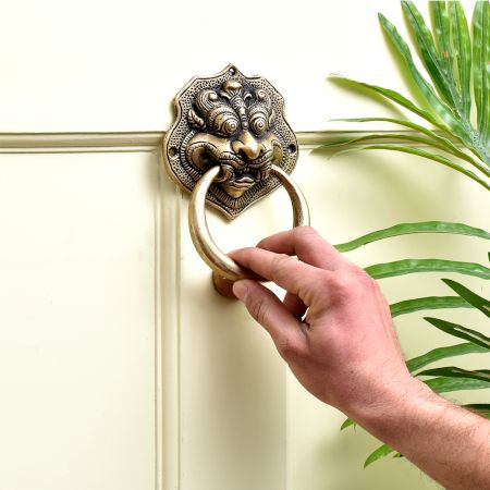 Brass Dragon Face Door Knocker