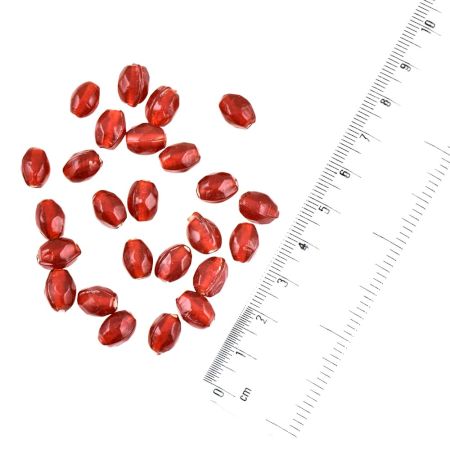 Red Glass Faceted Bicone Loose Beads Jewelry Crafts (12 in Pack)