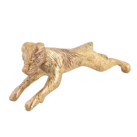Running Small Dog for Your Living Room