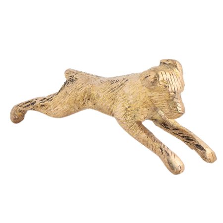 Running Small Dog for Your Living Room