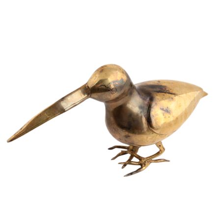 Bird With Long Beak