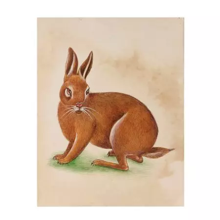 Brown Rabbit Canvas Water Color Painting