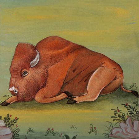 Watercolor Painting Of Bison Bull Male Praire American