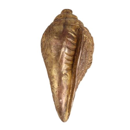 Brass Engraved Conch Shell for Pooja