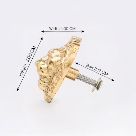 Golden Brass Lion Face Drawer Knob