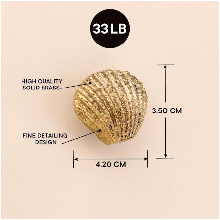Golden Solid Brass Shell Wall Hooks-3 Pieces