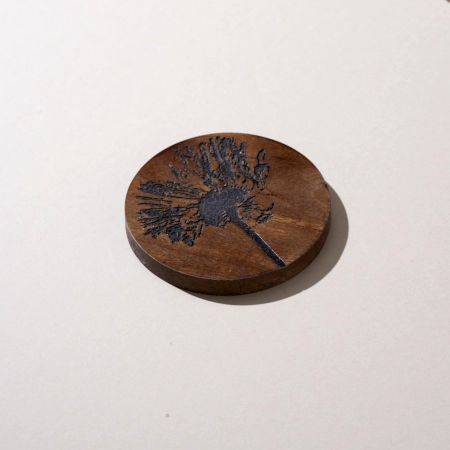 Windswept Wishes Coaster Set