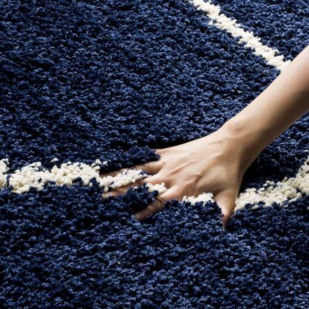 Elegant Shaggy Bedroom Carpet