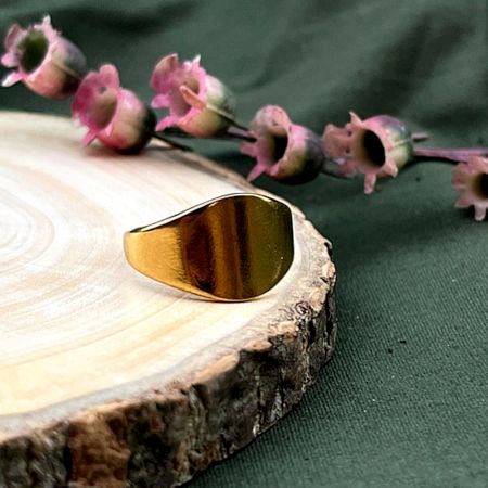 Demi Fine 18K Gold Plated Adjustable Minimal Band Ring