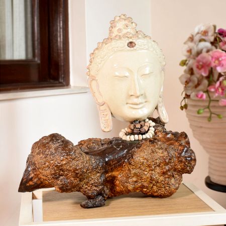 Premium Ceramic Buddha Sculpture by Artist Meena Vohra
