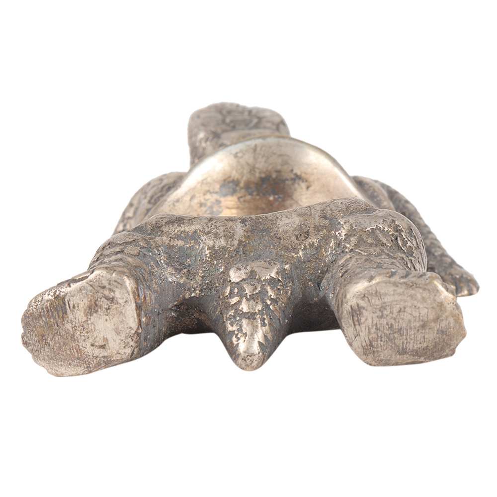 Mini Brass Turtle Tray For Pills