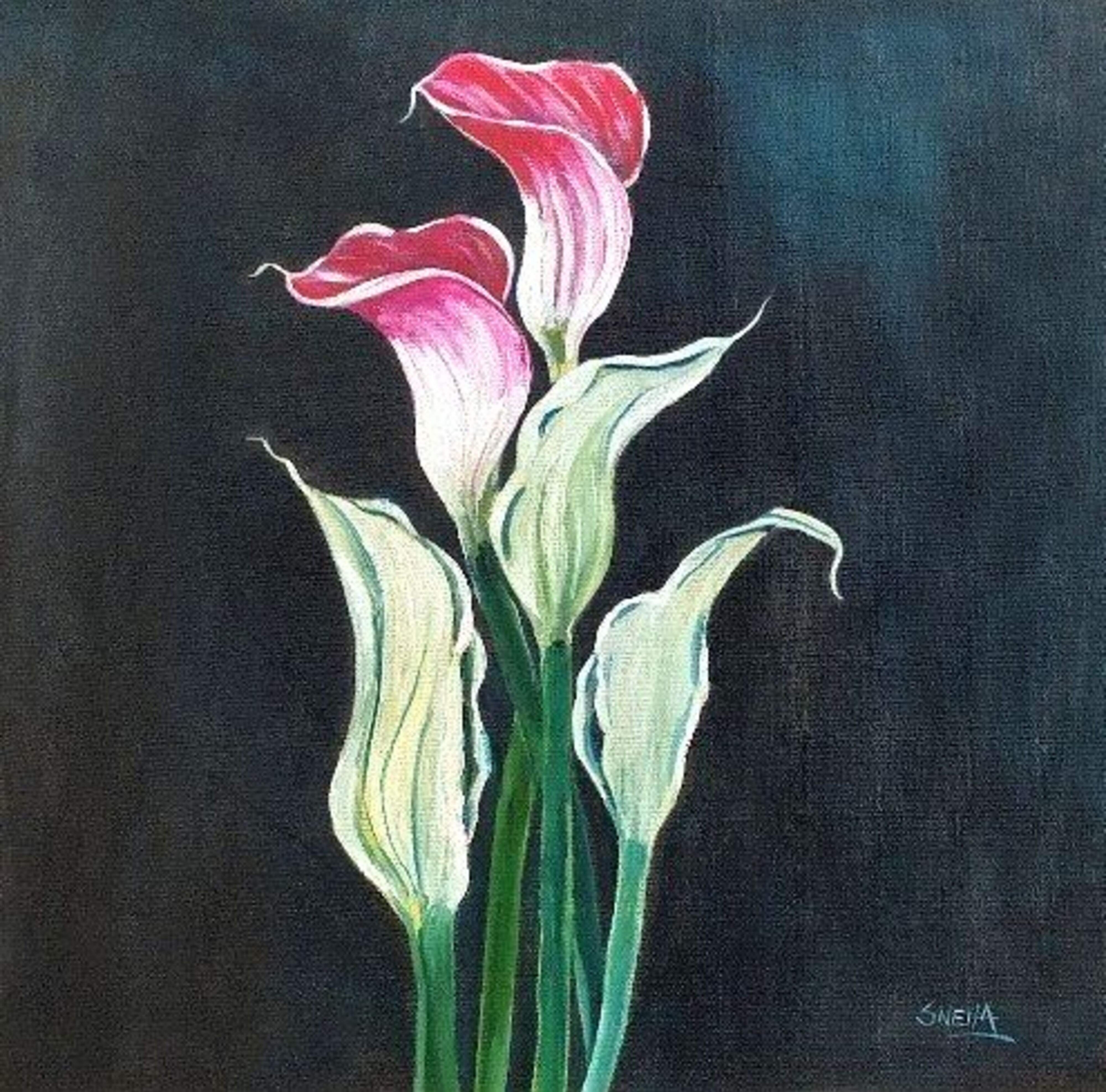 Peace Lily Canvas Painting by Artist Snehaprava Maharana