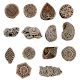 Set  of 14 piece New Wooden Printing Block