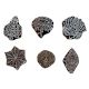 Set of 6 Piece New Mix Wooden Printing Block