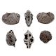 Set of 6 Piece New Mix Wooden Printing Block