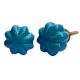 Turquoise Pomegranate Knob