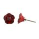 Red Daffodils Ceramic Etched Drawer Knob